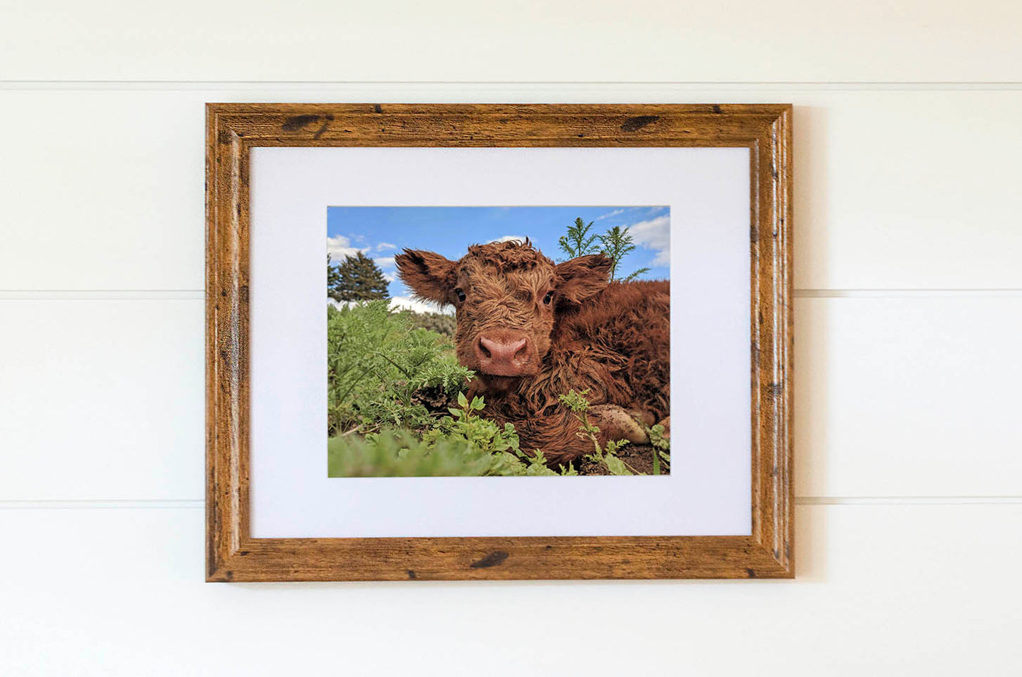 Bright Digital Print