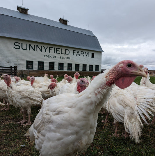 12-15lb Sunnyfield Pasture Raised Turkey Deposit