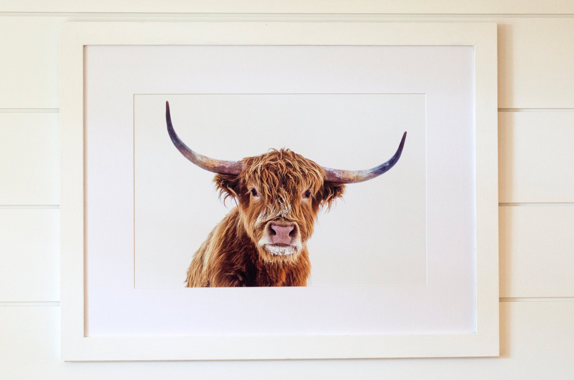 Cardstock 2 sided 5X7 - Horn Photo